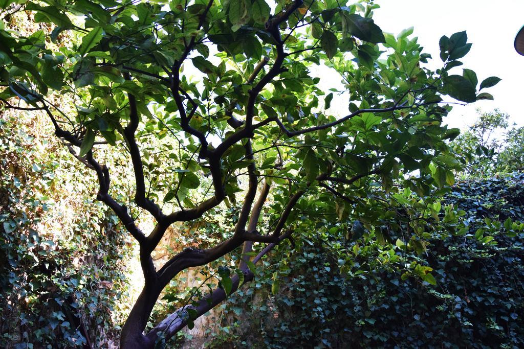 Artroom Garden โนโต ภายนอก รูปภาพ